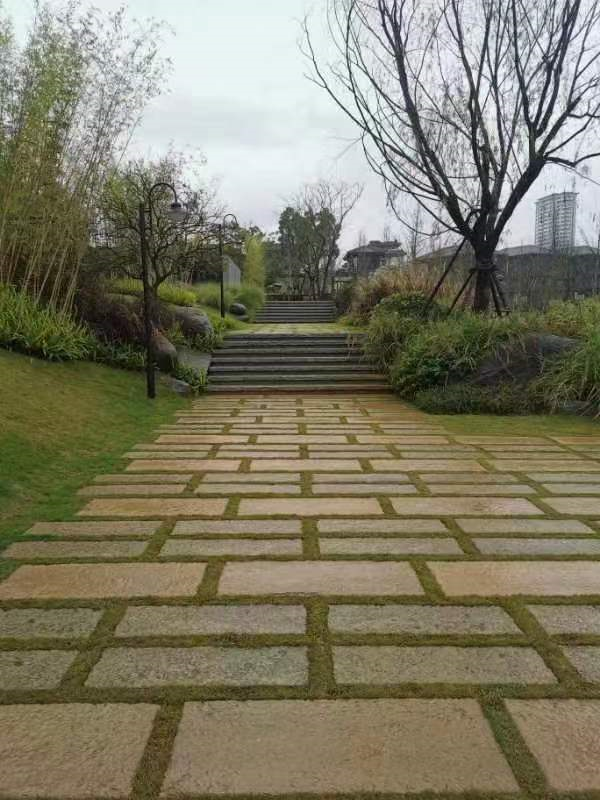 1666146012845619.png image.png